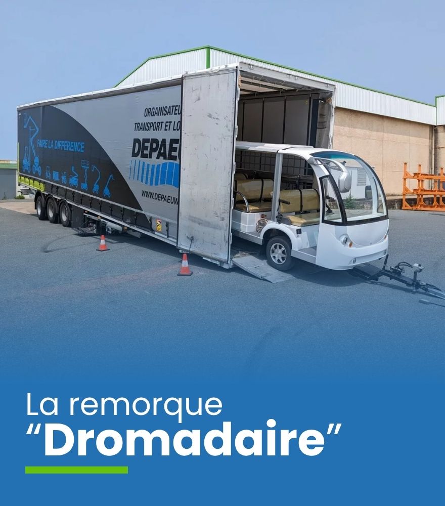 Fiche DROMADAIRE
